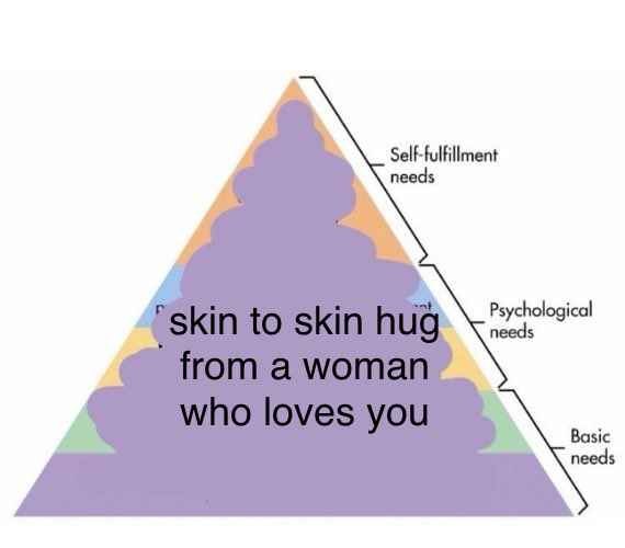 Self-fulfillment Psychological Basic needs