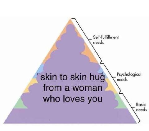 Self-fulfillment Psychological Basic needs