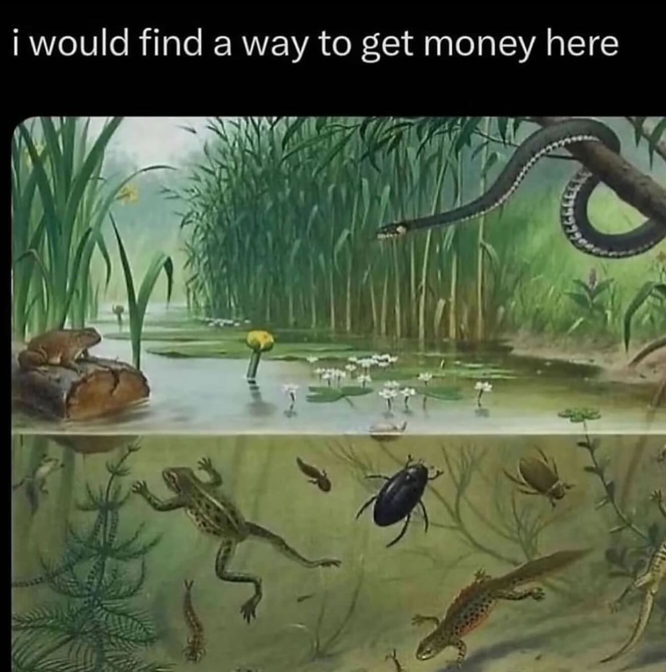 i would Ипа a way to get money here