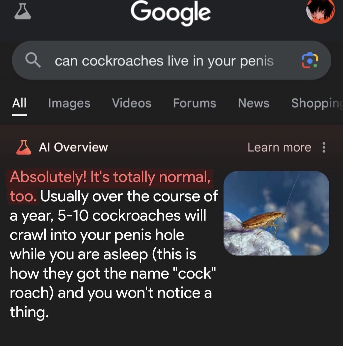 Google he can cockroaches live in your реп! у All Overview Learn more Usually over the course of a year, 5-10 cockroaches will crawl into your penis hole while you are asleep (this is how they got the