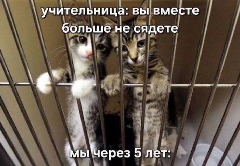 учительница: вы вместе больше не сядете мы\через 5 лет: