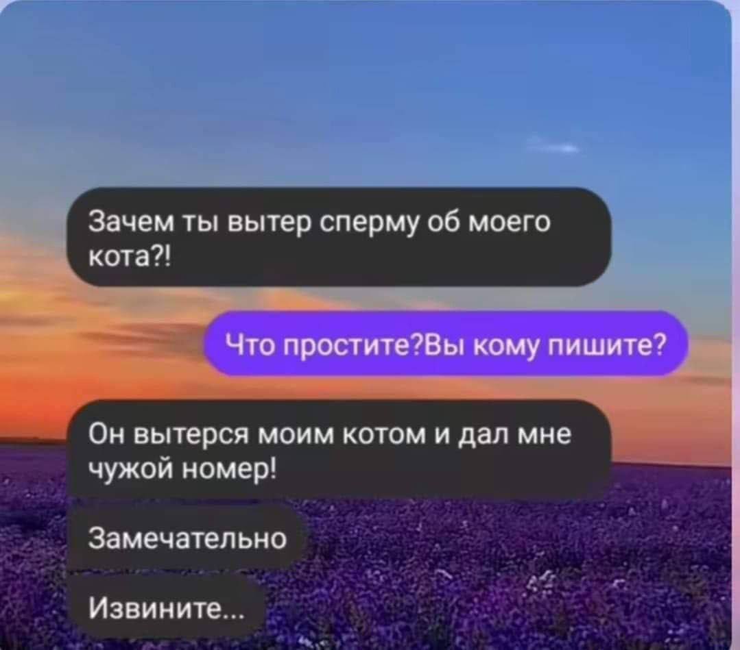 Зачем ты вытер сперму об моего кота?! Что простите?Вы кому пишите? Он вытерся моим котом и дал мне чужой номер! Замечательно Извините...