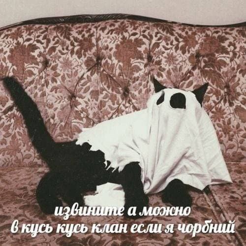 а можно 6 кусь кусь клан если я чордний