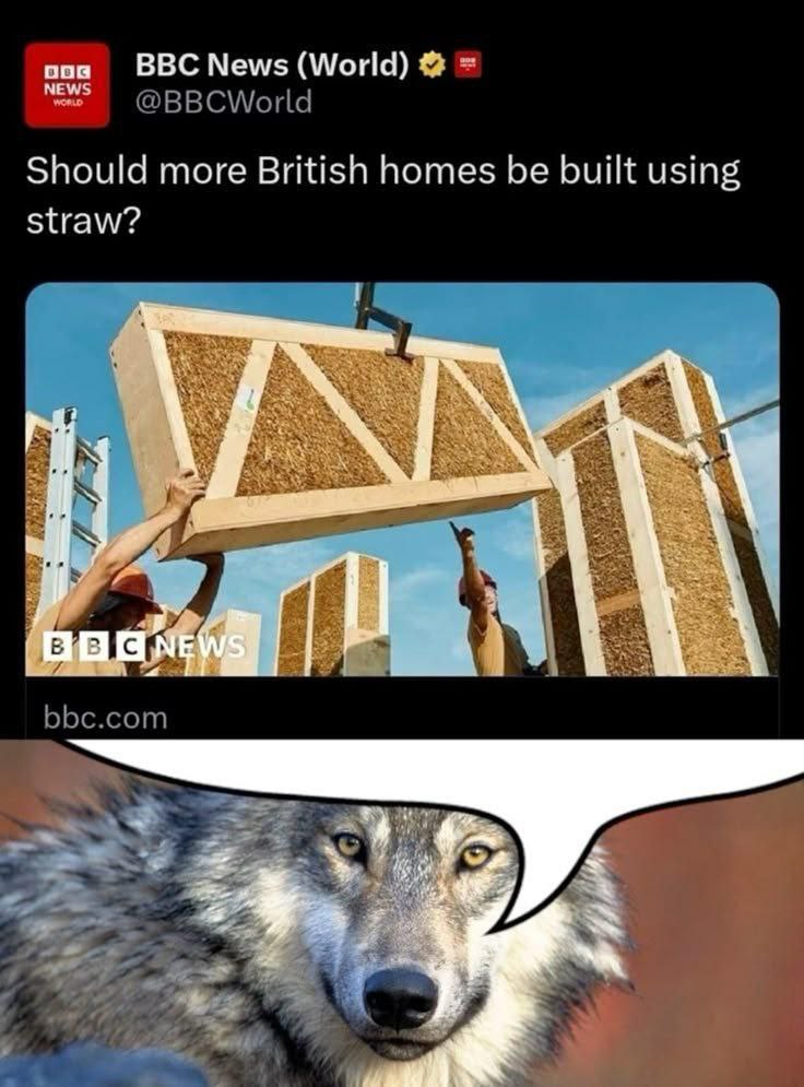 ооо ВВС News (World) NEWS Should more British homes be built using straw? у: у