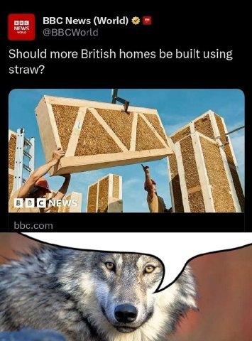 ооо ВВС News (World) NEWS Should more British homes be built using straw? у: у