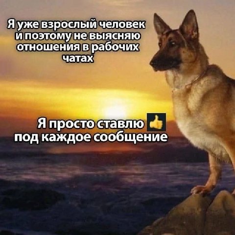 Я уже взрослый человек ‚и поэтому не выясняю ных отношения в рабочих. чатах. Я просто‘ставлю под каждое сообщение
