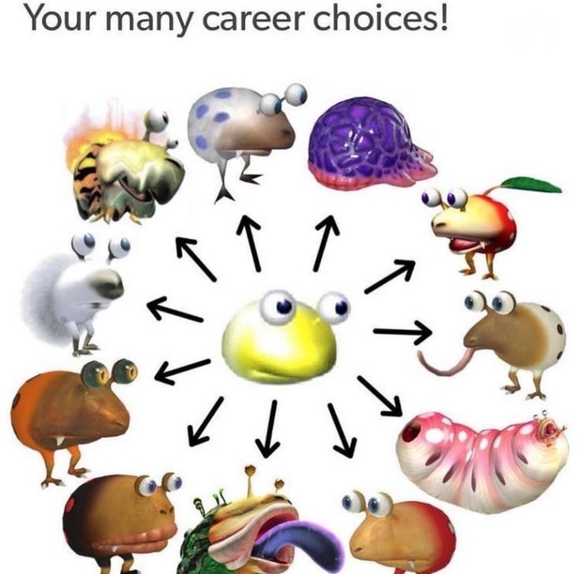 Your many career choices!