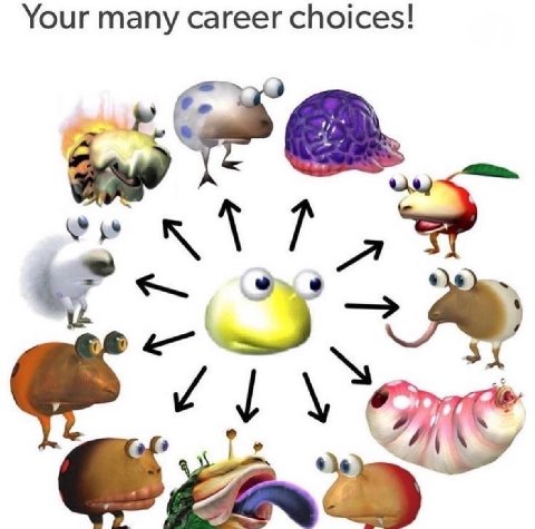 Your many career choices!