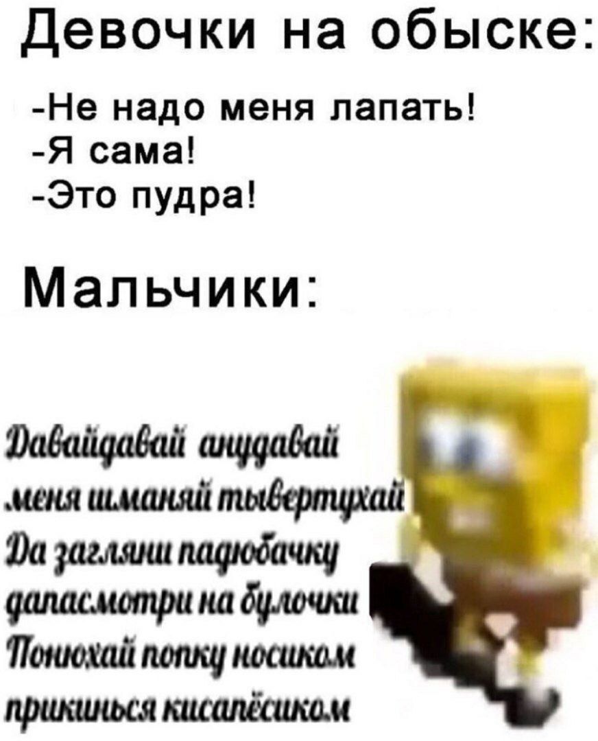 Девочки на обыске: -Не надо меня лапать! -Я сама! -Это пудра! Мальчики: анудавай меня шманяй загляни даласмотри на Понюхай попку носиком прикинься кисалесико.м