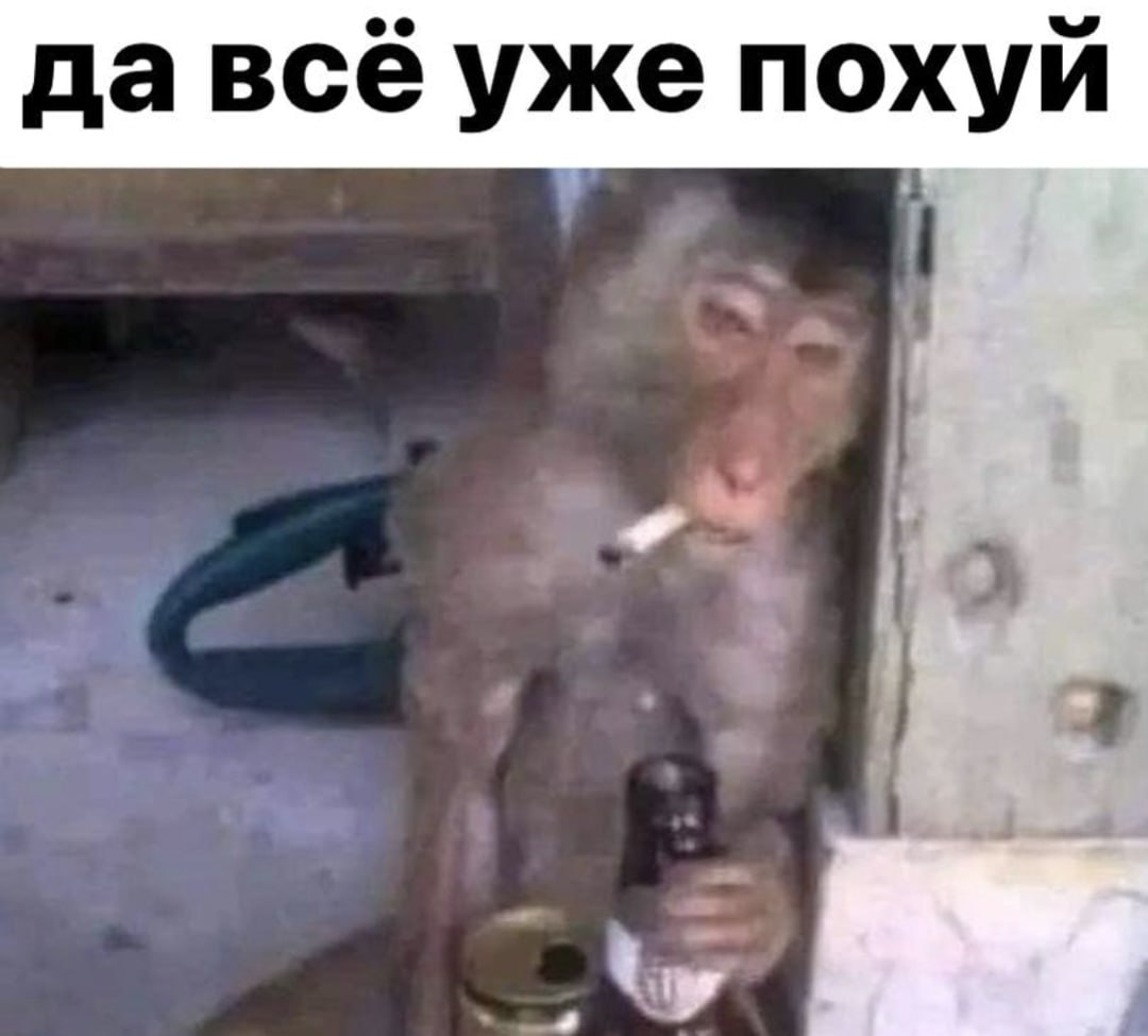 давсё уже похуй