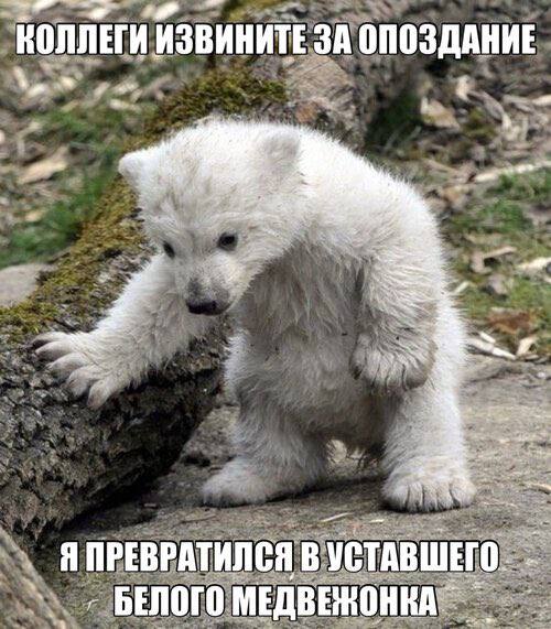 КОЛЛЕГИ ИЗВИНИТЕ ЗА ОПОЗДАНИЕ Я ПРЕВРАТИЛСЯ ВУСТАВШЕГО. БЕЛОГО