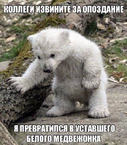 КОЛЛЕГИ ИЗВИНИТЕ ЗА ОПОЗДАНИЕ Я ПРЕВРАТИЛСЯ ВУСТАВШЕГО. БЕЛОГО