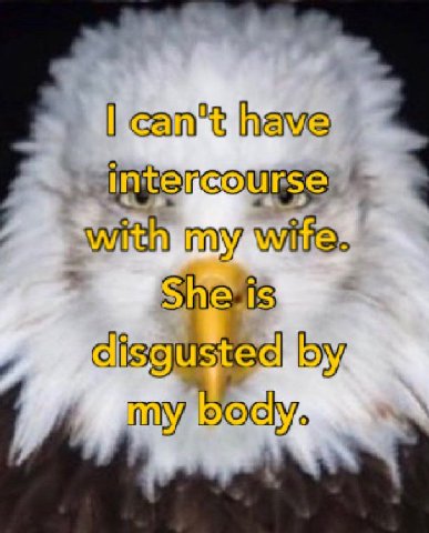 have Wie my