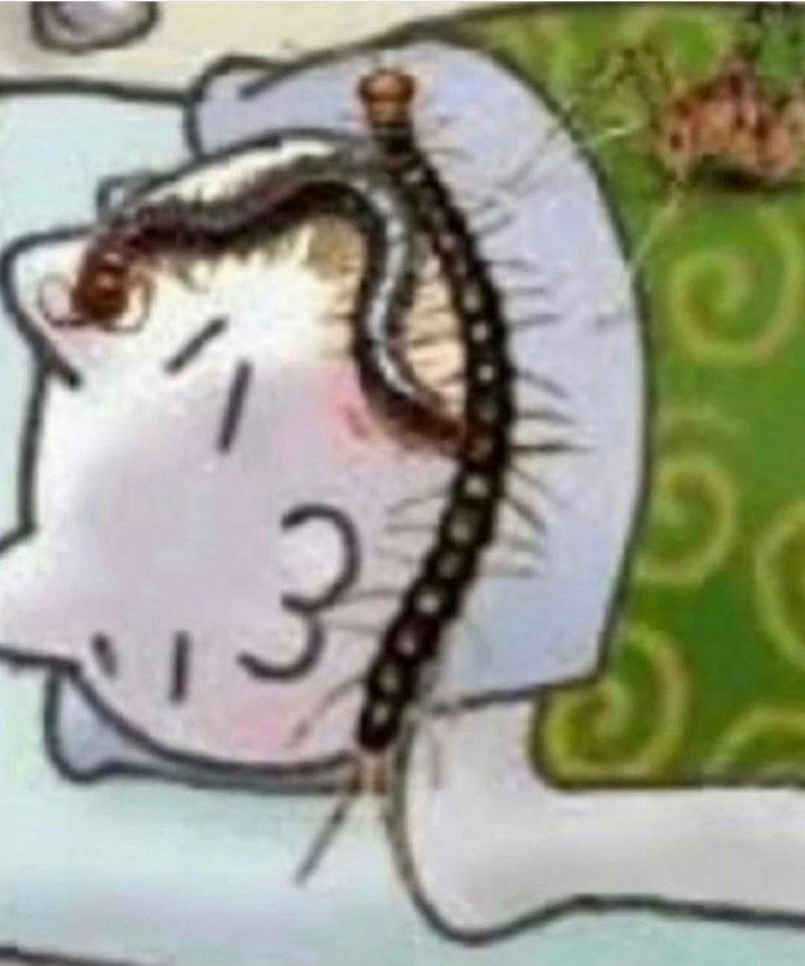 _—— ~ м a» f a te м 0