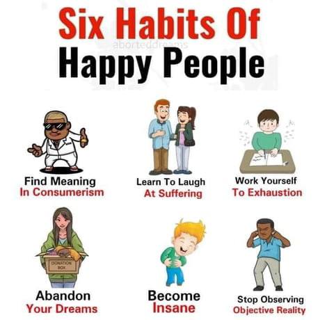 Habits Of Happy People Find Meaning Learn To Work Yourself In Consumerism At Suffering To Exhaustion Abandon Become Stop Observing Your Dreams nsane Objective Reality