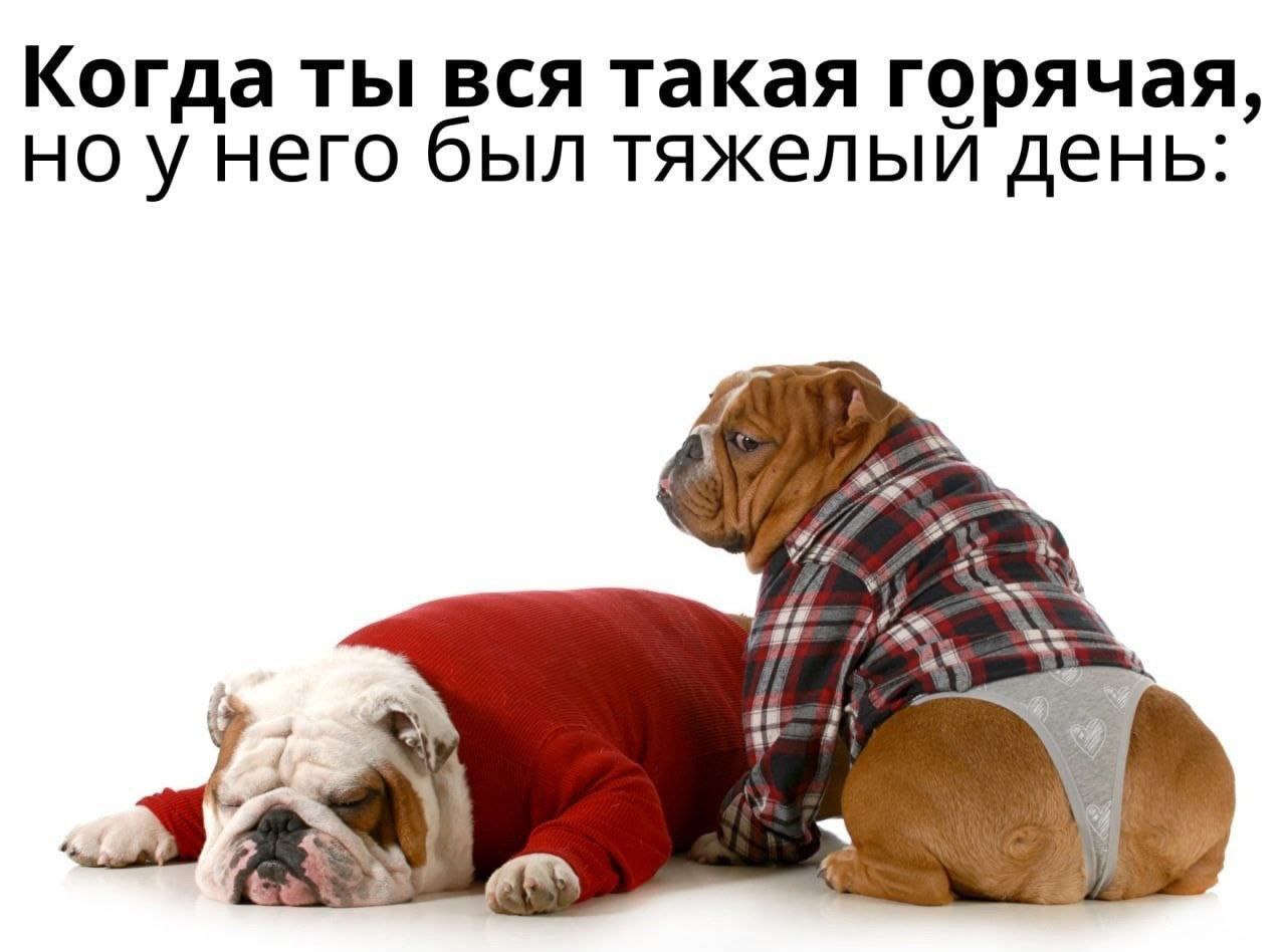 Когда ты вся такая горячая, но унего был тяжелый день: