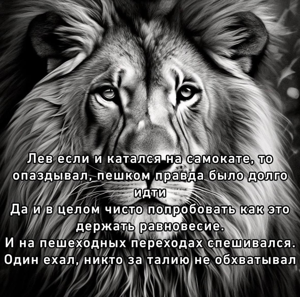 Лев если и катался опаздывал, пешком правда было долго Да и в целом чисто попробовать как это И на пешеходных переходах спешивался. Один ехал, никто за талию не обхватывал