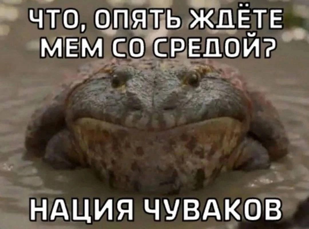 ЧТО, ОПЯТЬ ЖДЕТЕ МЕМ СРЕДОЙ? НАЦИЯ ЧУВАКОВ