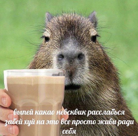 ath aed вылей какао все просто живи ради забей хуй на это себя