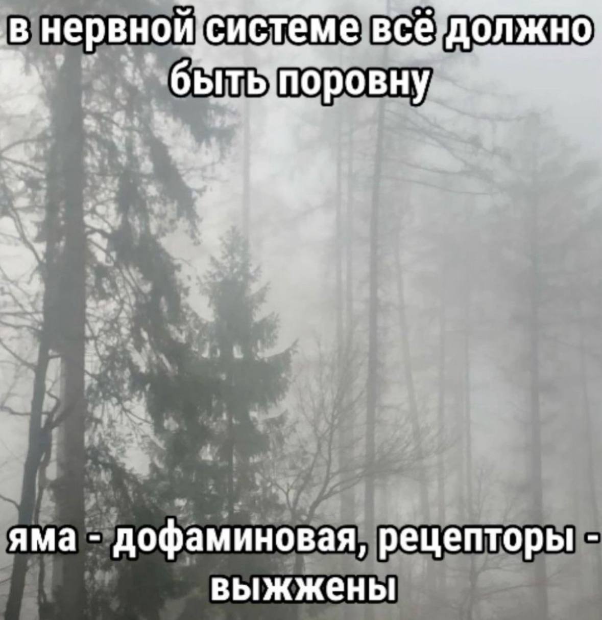 ‚В нервной системе, все должно 4 яма дофаминовая рецепторы выжжены
