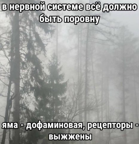 ‚В нервной системе, все должно 4 яма дофаминовая рецепторы выжжены