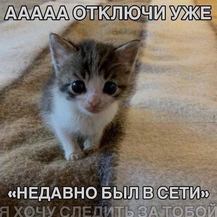 ААААА ОТКЛЮЧИ УЖЕ «НЕДАВНО БЫЛ В СЕТИ»