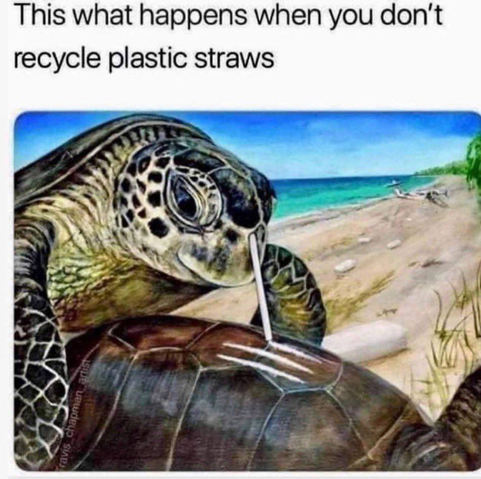 This what happens when you don't recycle plastic straws i 4