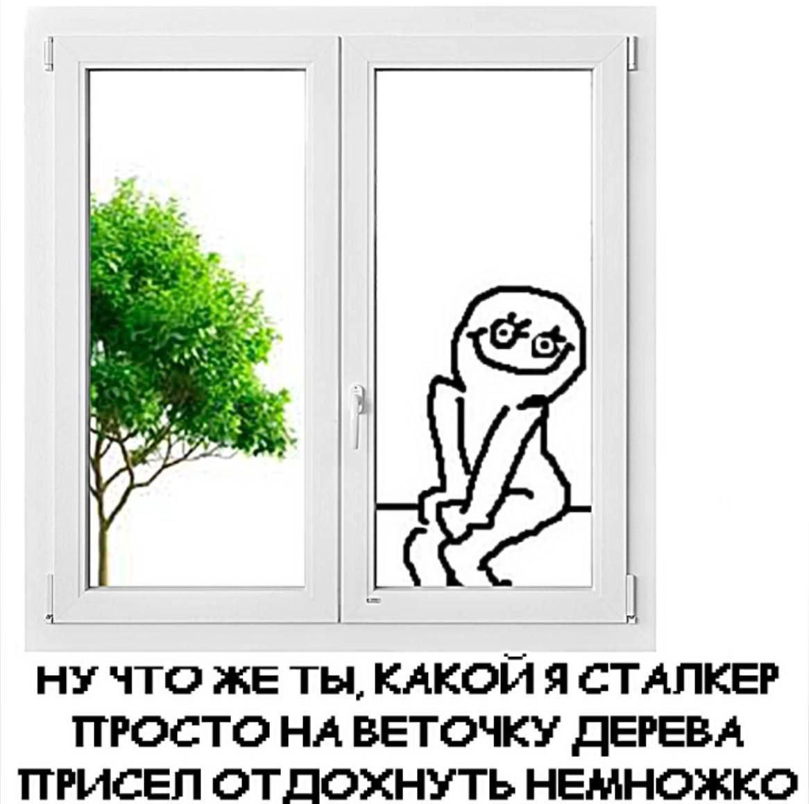 ЖЕ ТЫ, КАКОЙ Я СТАЛКЕР ПРОСТО НА ВЕТОЧКУ ДЕРЕВА ПРИСЕЛ ОТДОХНУТЬ НЕМНОЖКО
