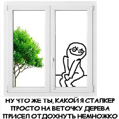 ЖЕ ТЫ, КАКОЙ Я СТАЛКЕР ПРОСТО НА ВЕТОЧКУ ДЕРЕВА ПРИСЕЛ ОТДОХНУТЬ НЕМНОЖКО