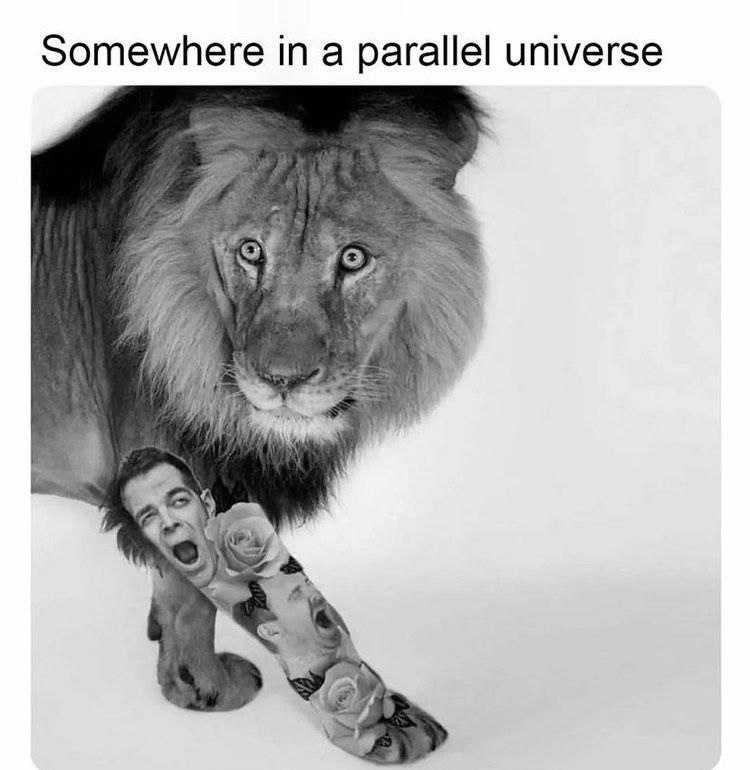Somewhere in a parallel universe