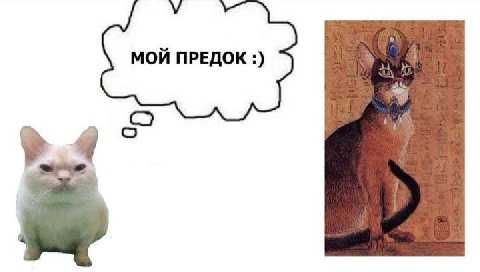 МОЙ ПРЕДОК