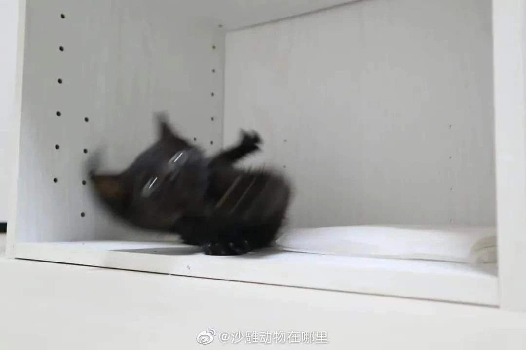 a GY — a