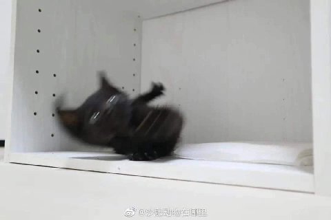 a GY — a