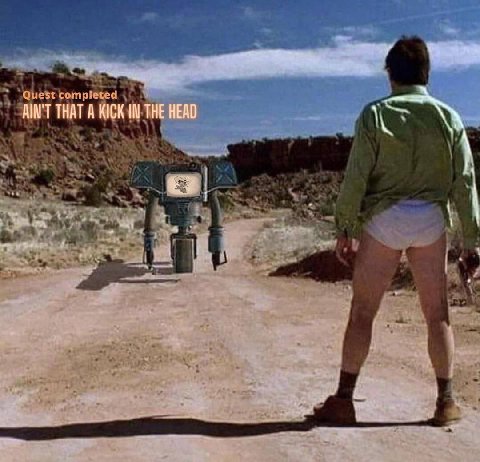Quest completed AIN'T THAT А KICK IN THE HEAD iN у