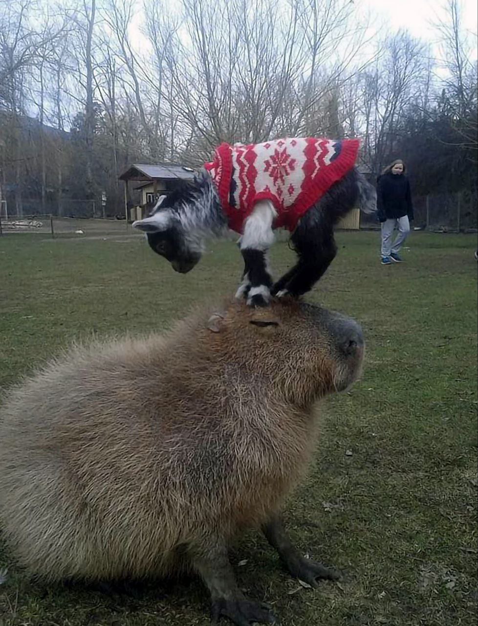я