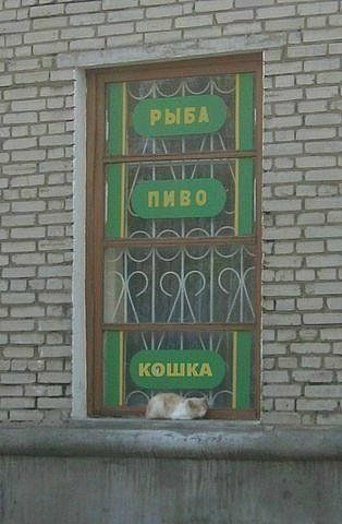 РЫБА ЕСТ и 23 i КОШКА DPSS