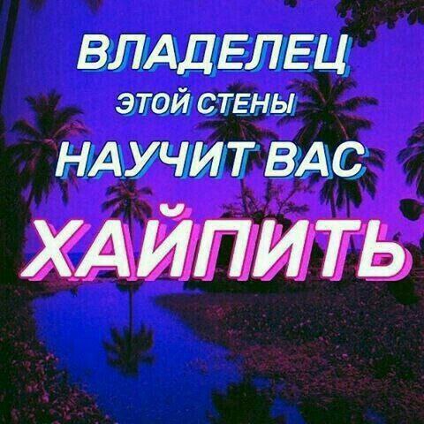 ВЛАДЕЛЕЦ ЭТОЙ СТЕНЫ НАУЧИТ ВАС ХАЙПИТЬ