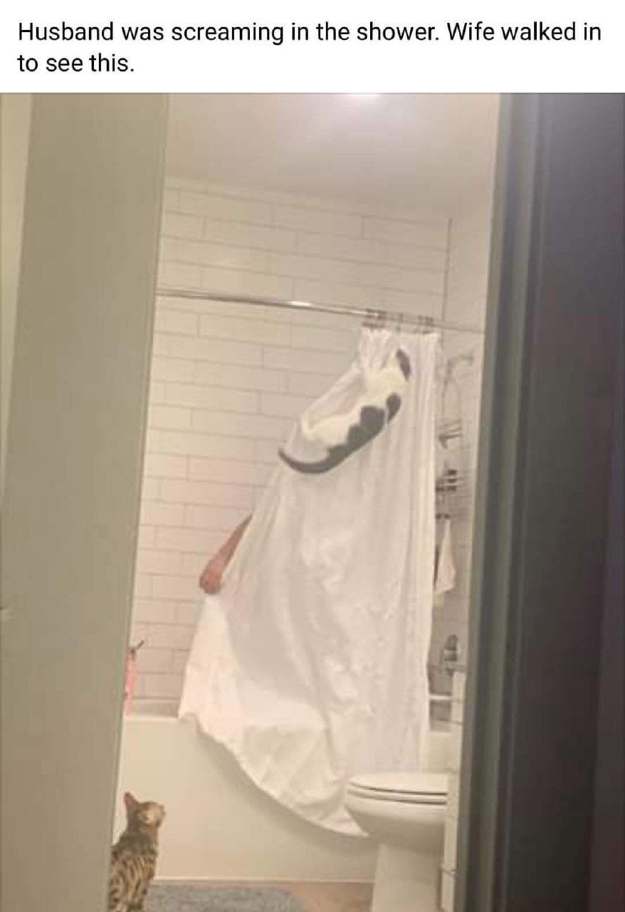 Husband was screaming the shower. Wife walked in to see this.
