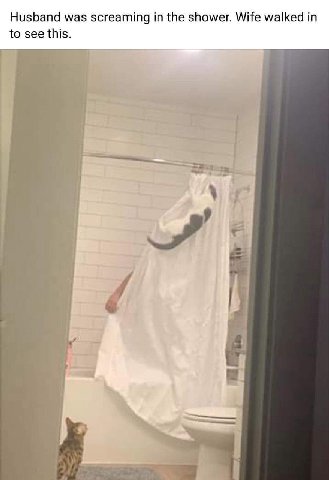 Husband was screaming the shower. Wife walked in to see this.
