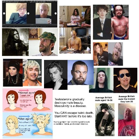 i] у о 5 у me 7. 7 с *Woman tal Average British Average British she definitely let Testosterone gradually male aged 18-25 male the instant destroys male beauty. a Masculinity is a disease. You CAN esc