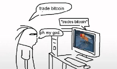 trade bitcoin *trades bitcoin* my god.