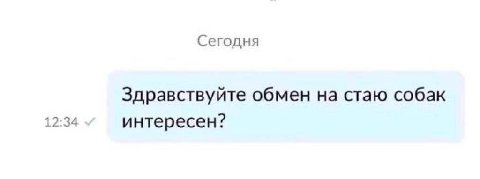 Сегодня Здравствуйте обмен на стаю собак 12:34 интересен?