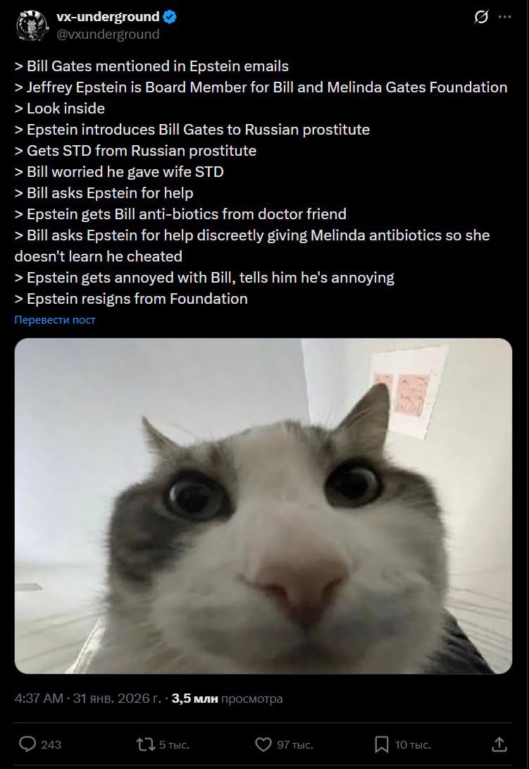 vx-underground @vxunderground Bill Gates mentioned in Epstein emails Jeffrey Epstein is Board Member for Bill and Melinda Gates Foundation Look inside Epstein introduces Bill Gates to Russian prostitu