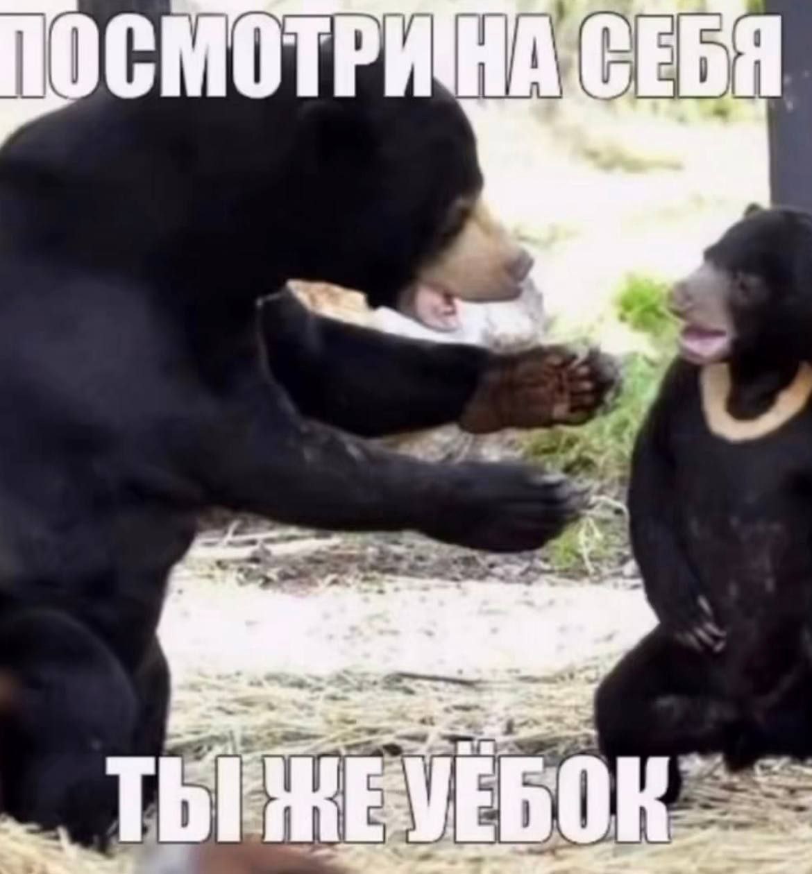 15 1с У