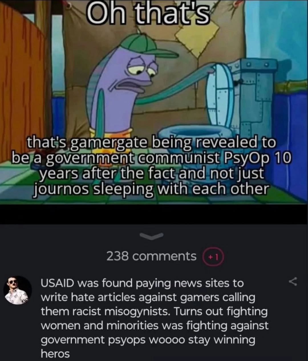 On that's that's gamergate being revealed to be а sovernment communist PsyOp 10 years after the fact and not just journos sleeping with each USAID was found paying news sites to write hate articles ag