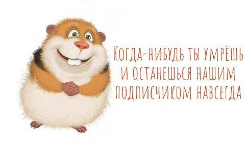 Здоровья матерям пацаны