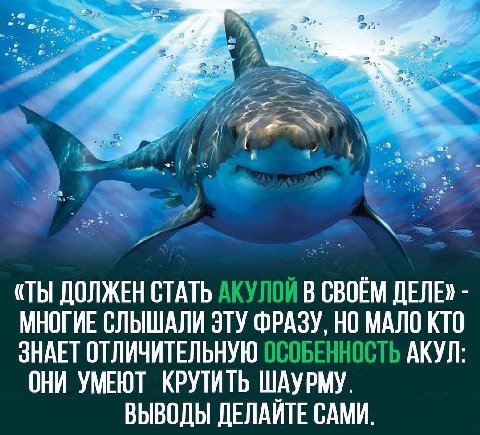 4 a7 «ТЫ ДОЛЖЕН СТАТЬ АКУЛОЙ В СВОЁМ МНОГИЕ СЛЫШАЛИ ЭТУ ФРАЗУ, НО МАЛО КТО ЗНАЕТ ОТЛИЧИТЕЛЬНУЮ ОСОБЕННОСТЬ АКУЛ: ОНИ УМЕЮТ КРУТИТЬ ШАУРМУ. ВЫВОДЫ ДЕЛАЙТЕ САМИ.