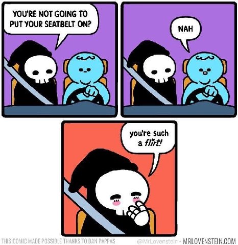 YOU'RE NOT GOING TO PUT YOUR SEATBELT ON? you're such а flirt! MRLOVENSTEIN.COM