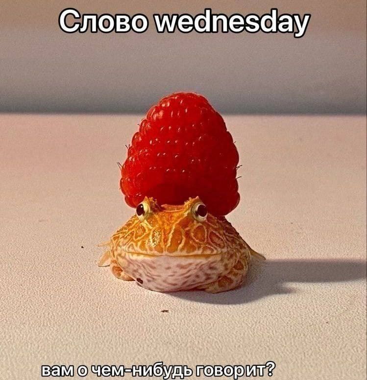 Слово wednesday $2 4 if 4 we bea “4 AND ran res ves вам очем: fib говорит