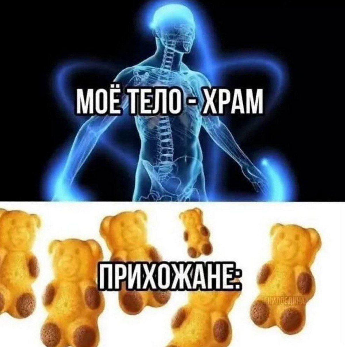 MOE ТЕЛО ХРАМ ПРИХОЖАНЕ